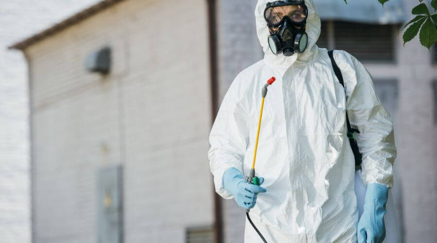 Professional 24 hour pest control services in Reseda